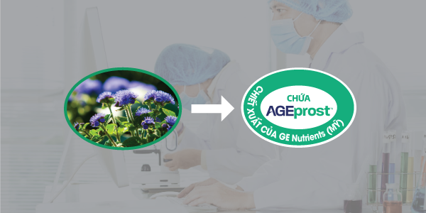 ly-giai-nguyen-nhan-tieu-dem-tieu-nhieu-lan-o-nam-gioi3